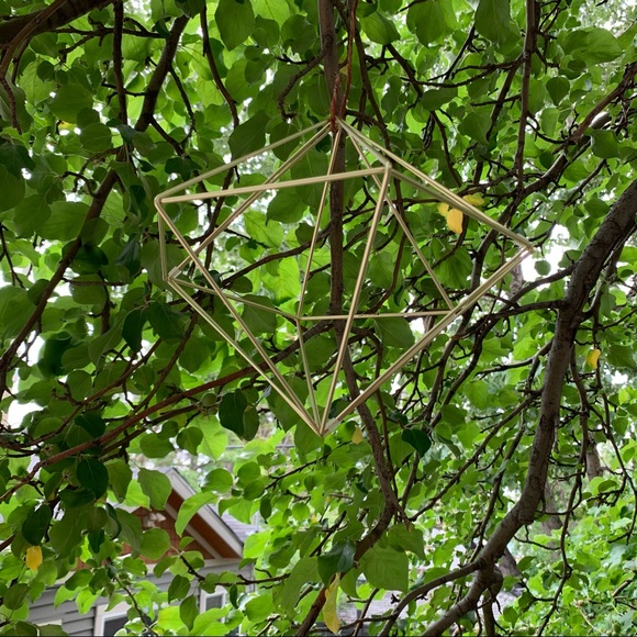 Umbra geometric air plant hangers - Picture 4 of 9